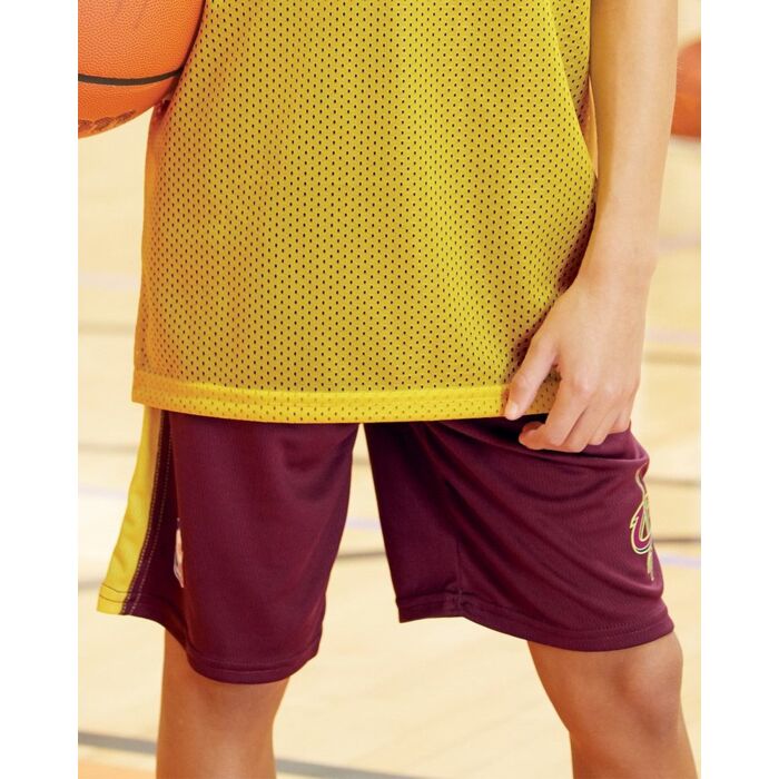 Alleson Athletic Youth NBA Logo'd Game Shorts A205LY Youth NBA Logo'd Game Shorts Thumbnail
